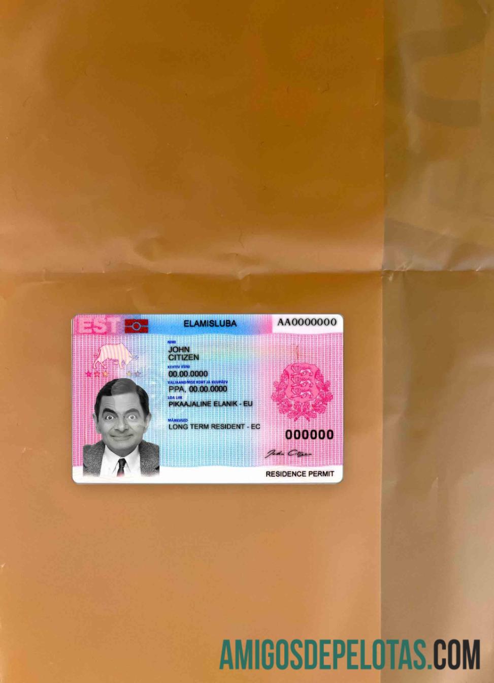 Estonia Residence Permit olhar de foto frente modelo